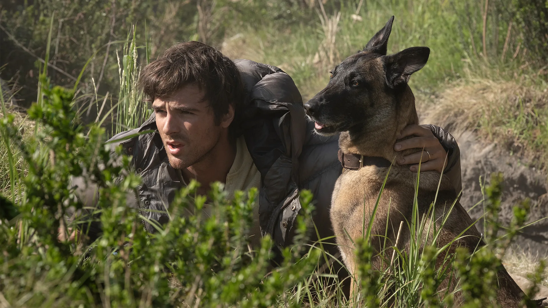 From The Dog Stars to One Night Only: 10 Must-See Films in August
