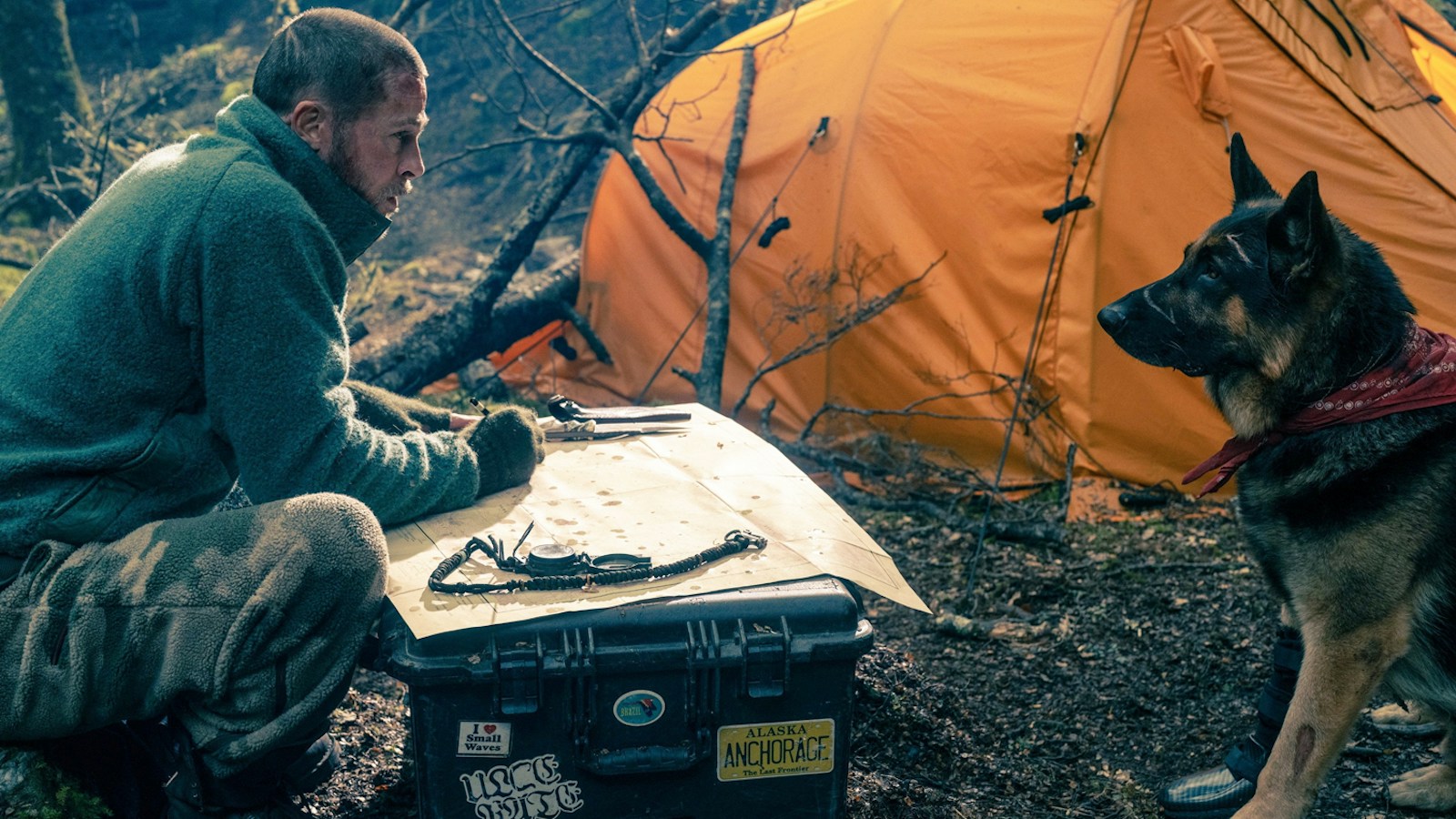 ‘Heart of the Beast’ Review: Brad Pitt and His Dog Brave the Alaskan Wilderness
