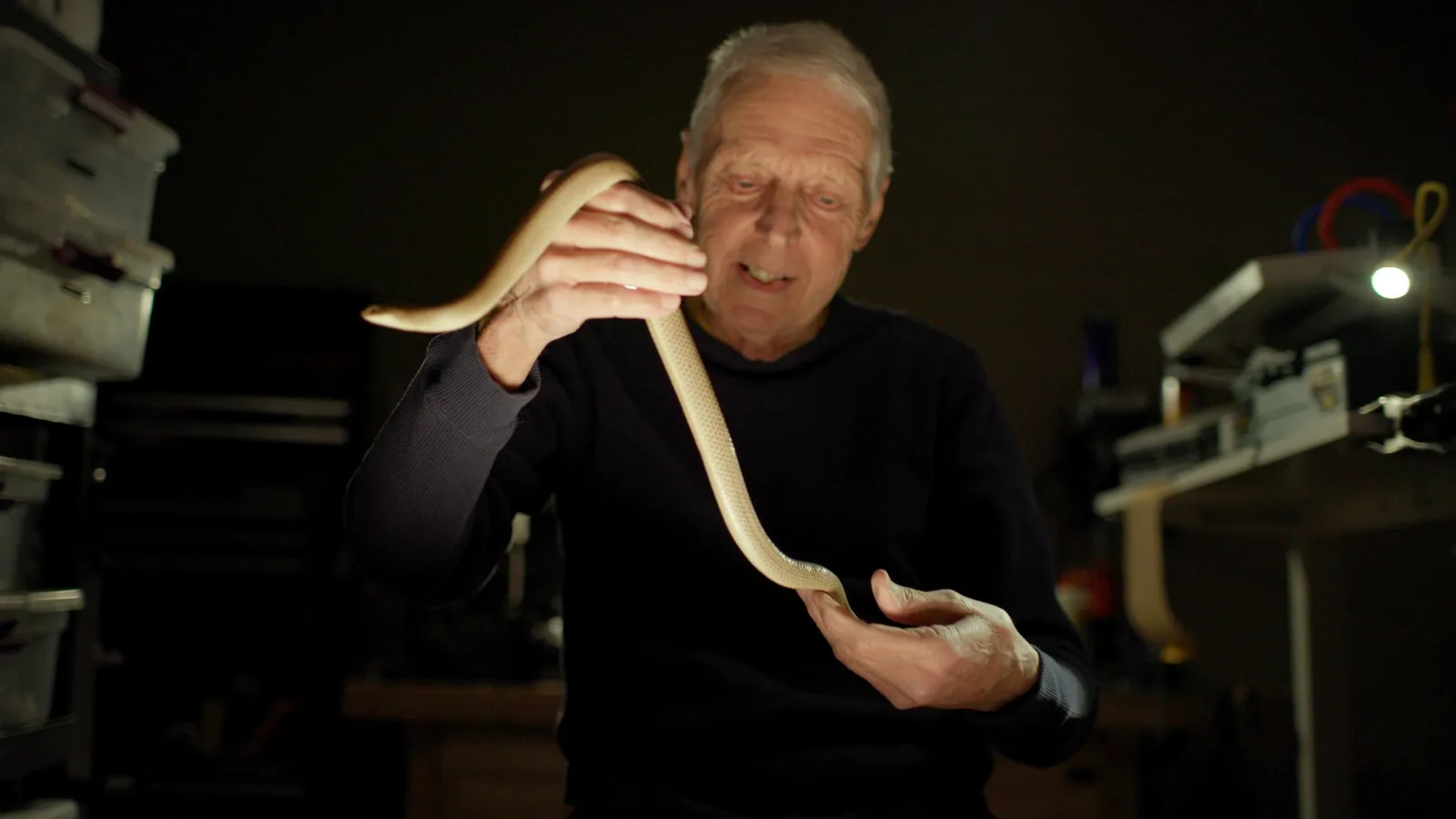 The True Story Behind "Monsters of God": The Dark Empire of Reptile Smuggling